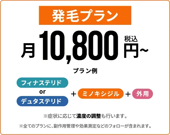 発毛プラン