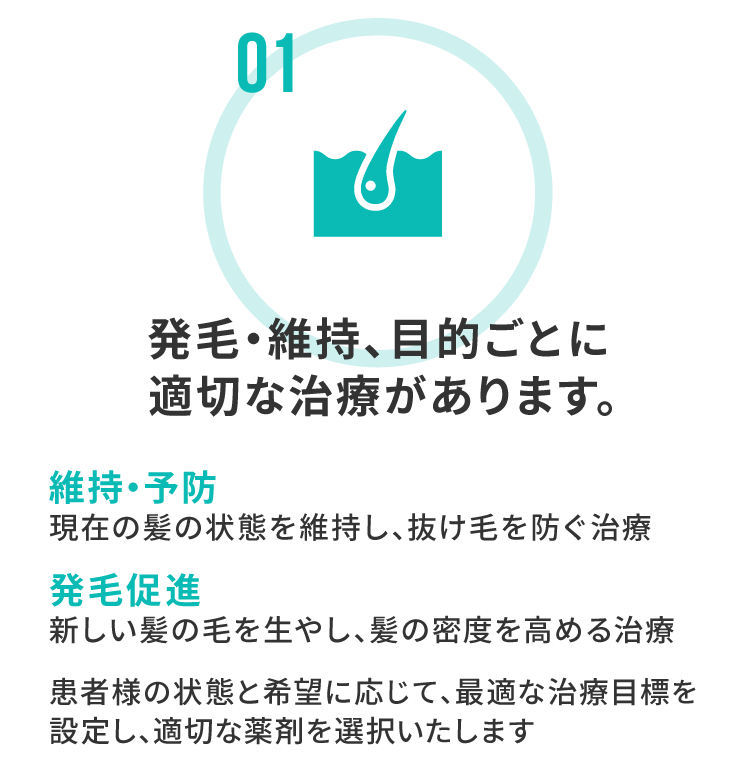 発毛・維持、目的ごとに適切な治療があります。