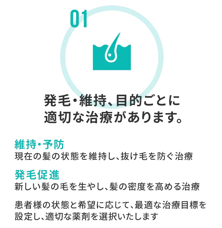発毛・維持、目的ごとに適切な治療があります。